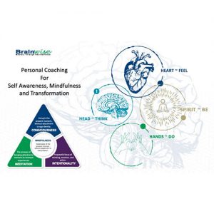 Colleen - Brainwise Personal Coaching For Self-Awareness, Mindfulness and Transformation