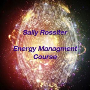 Sally - Energy Management Course
